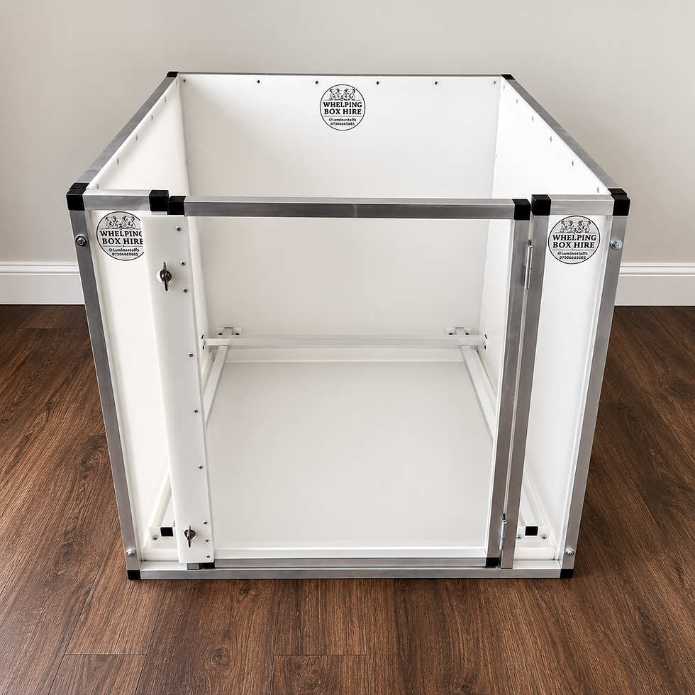 90cm-whelping-box-scotland-box-6