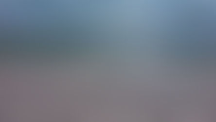 Our birth chart is a beach