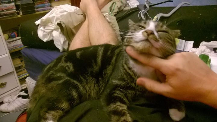 Final Part 7 - 16th September 2016