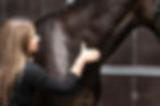 Equine Sports & Rehabilitation Massage Therapy