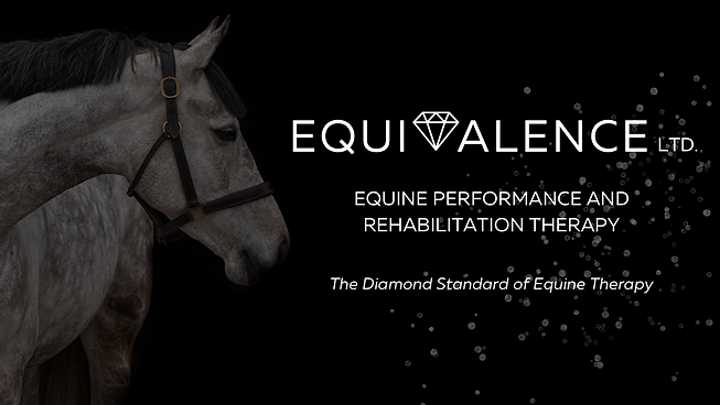 Equine Therapy Massage Rehabilitation Horse Laser Ultrasound Red Light Rehab Livery Bodywork