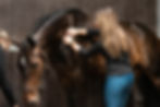 Equine Sports & Rehabilitation Massage Therapy