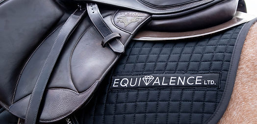 Equine Horse Sports Massage LLLT Laser Rehabilitation Rehab Livery Ultrasound Red Light Infrared Myofascial Release