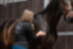 Equine Sports & Rehabilitation Massage Therapy