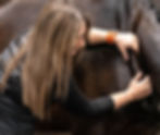 Equine Sports & Rehabilitation Massage Therapy