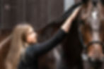 Equine Sports & Rehabilitation Massage Therapy