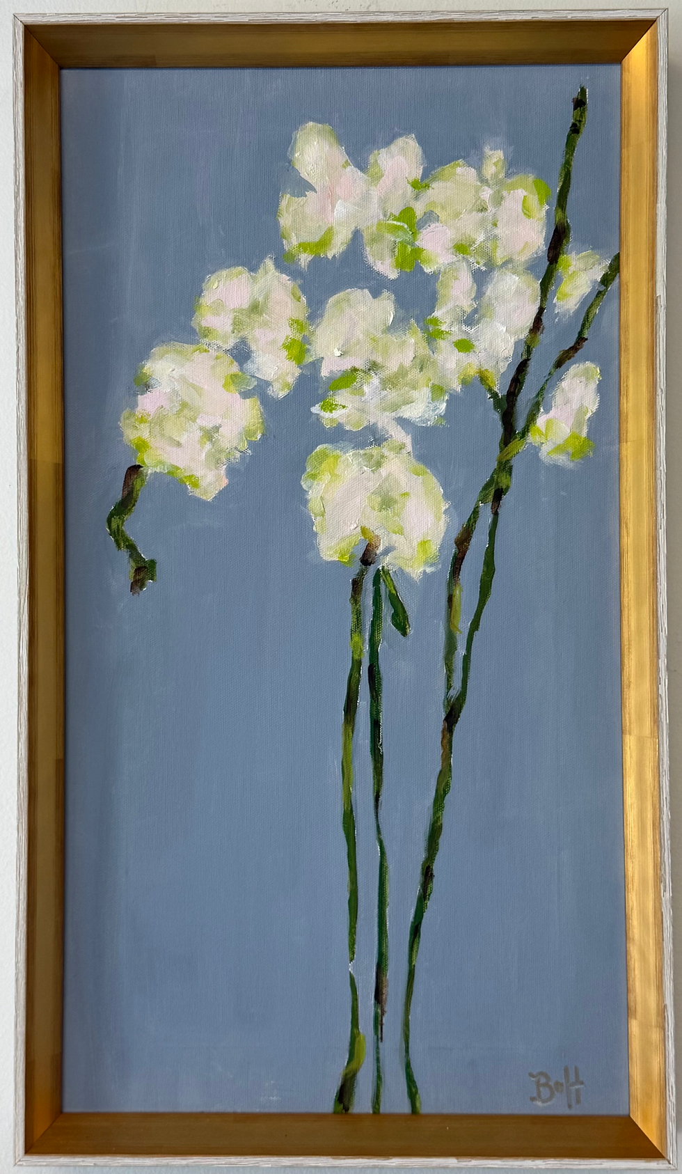 Thumbnail: Orchid in Light