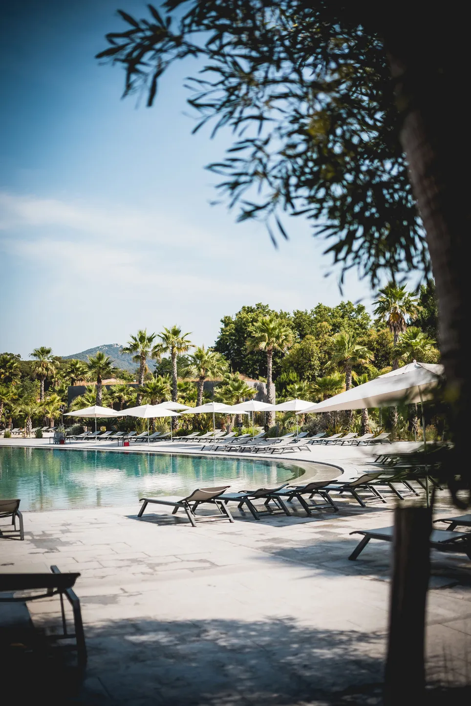 Our massive lagoon pool and lush gardens
