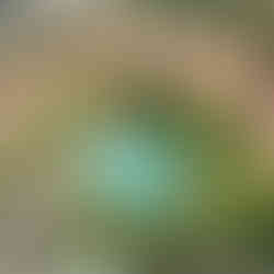 Unique architecture surrounded by greenery