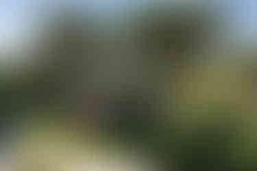 Elegant breakfast on the terrace