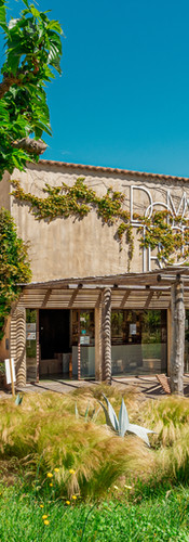 Domaine viticole Saint-Tropez au cœur de la Provence, lieu de découverte et d'oenotourisme.