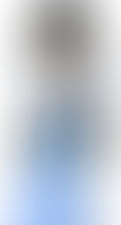 今日介紹:散華禮彌