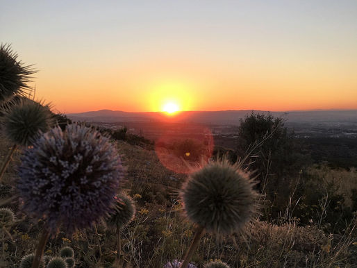 Chapitre 8 : Le mois des fins et des vérités 