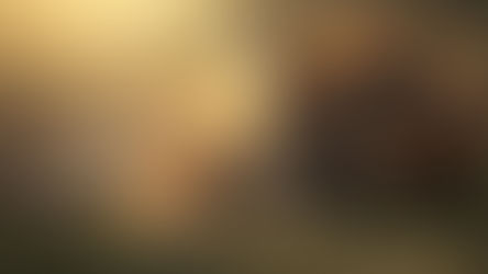 Les naissances de notre vie 