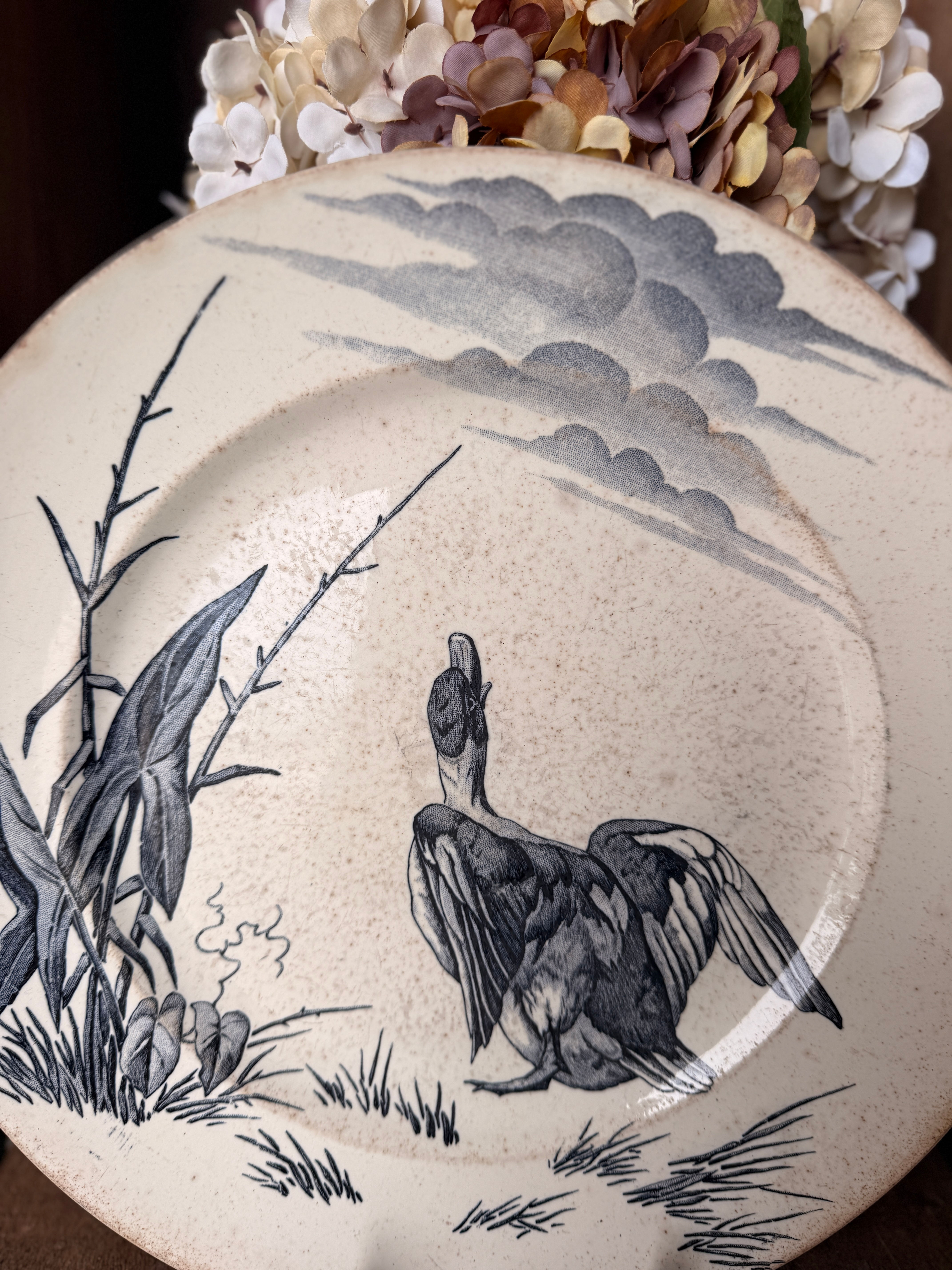 Rare grande assiette canard,Luneville