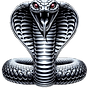 2x Cobra Trans.png