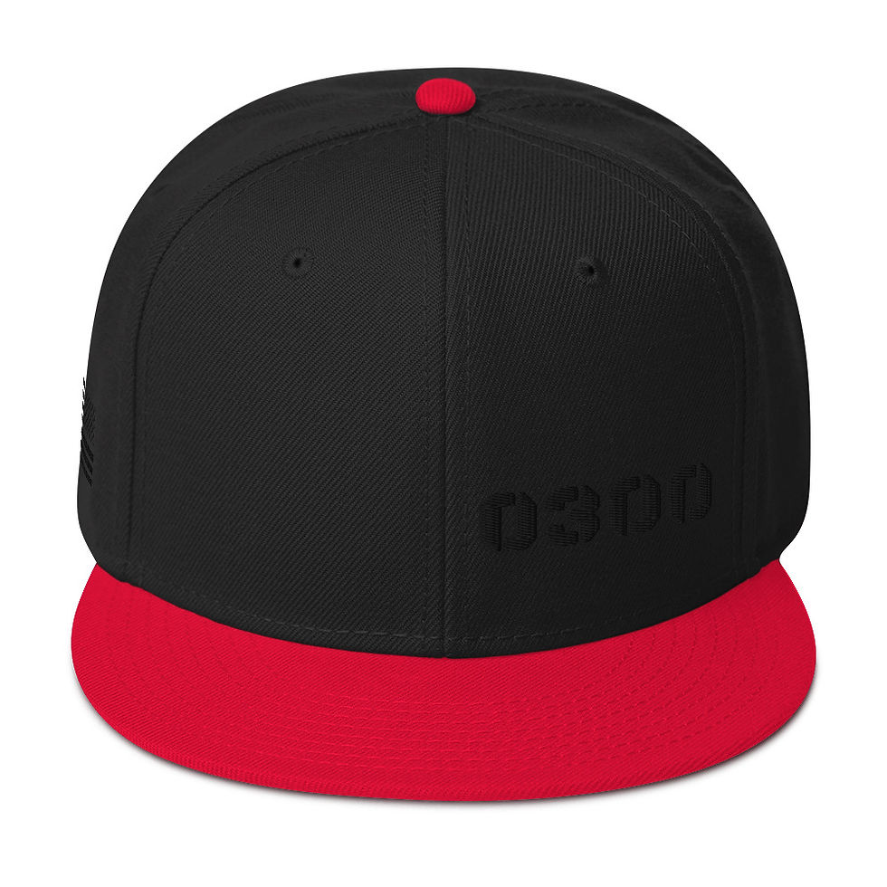 Thumbnail: "0300" Snapback Hat