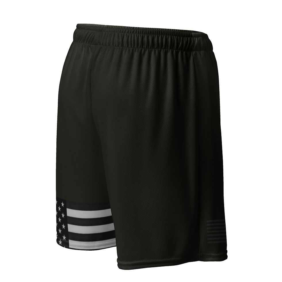 Thumbnail: "USA" Mesh Shorts
