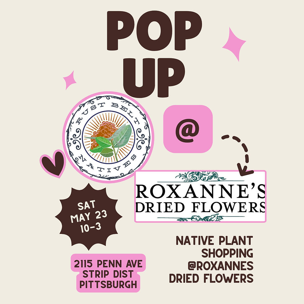 Pop Up @Roxanne’s Dried Flowers