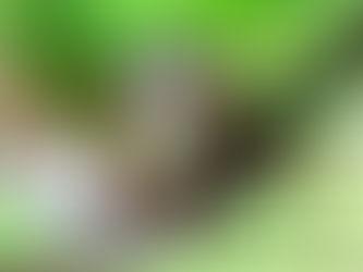 DSR no PONTO entenda na prática.