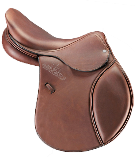 Jumping saddles.png