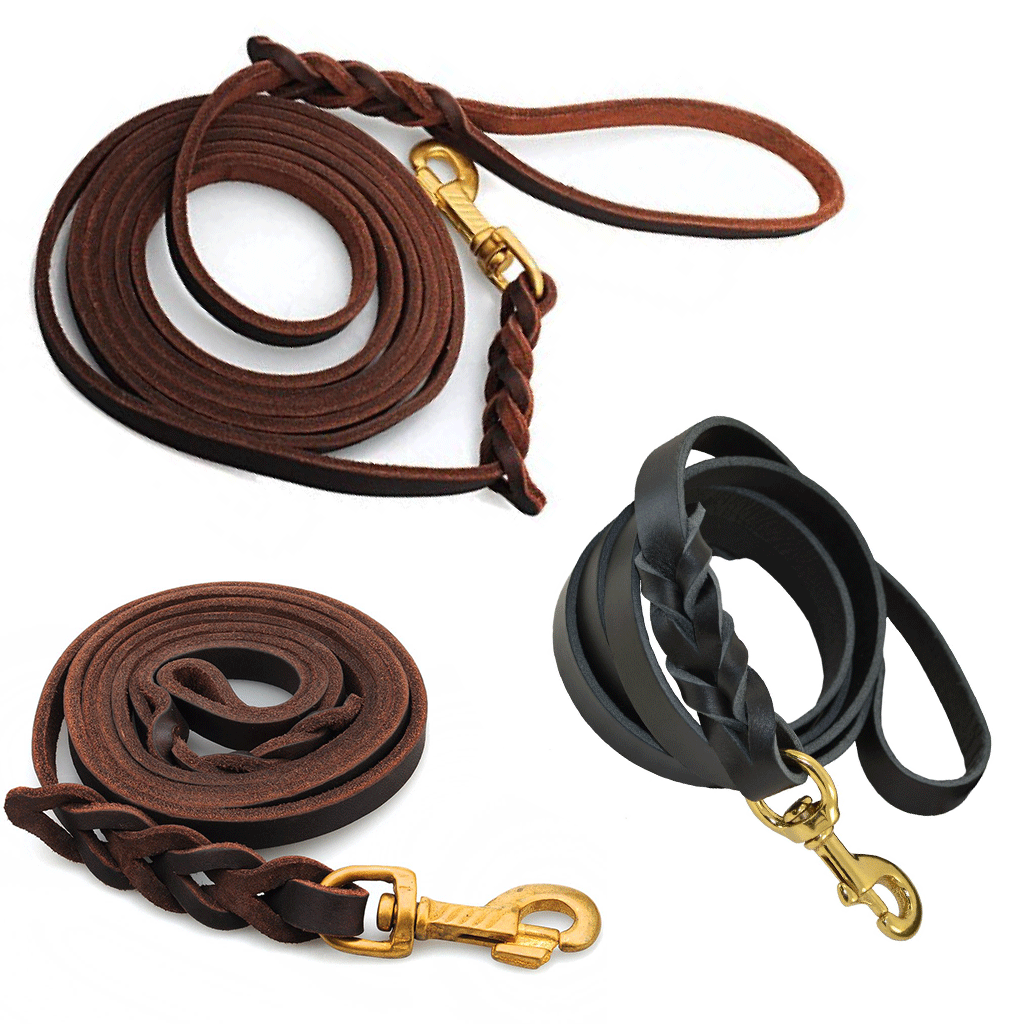 Leather-Leash.gif