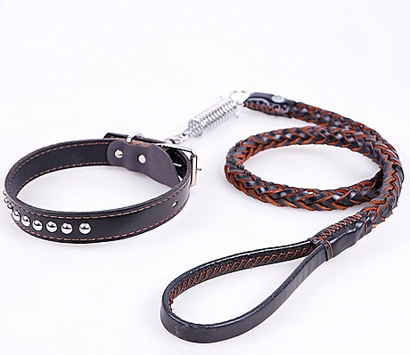 Leather Leash.jpg