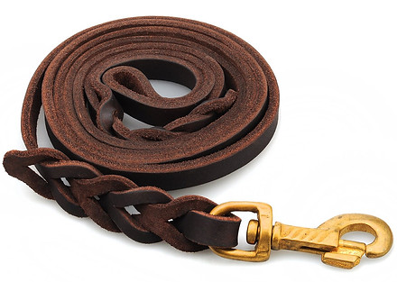 Leather Leash.jpg