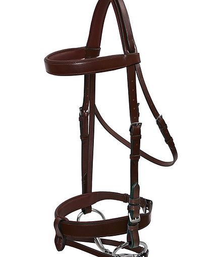 English Bridle.png