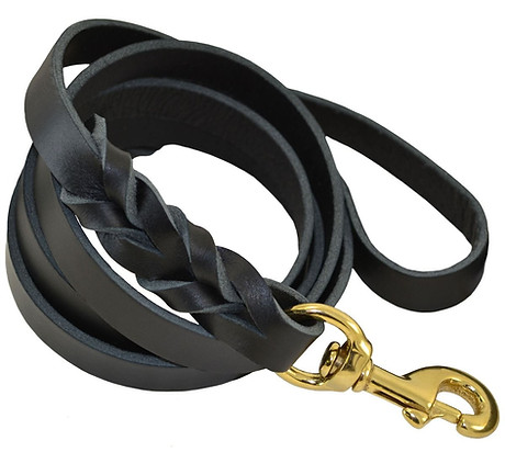 Leather Leash.jpg