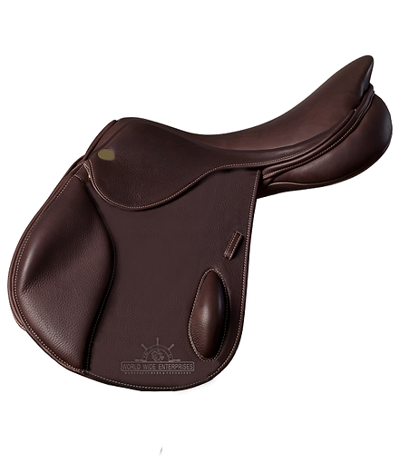 Jumping saddles.png