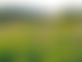 ホームページを開設しました。