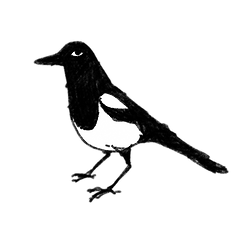 Untitled_Artwork 11.PNG