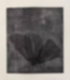 Biodiversity – insect 7 万物生∙蜉 7, 2018