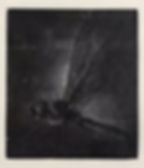 Biodiversity – insect 3 万物生∙蜉 3, 2018