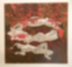 Under the Hawthorn Tree 山里红, 1995