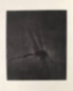 Biodiversity – insect 2 万物生∙蜉 2, 2018