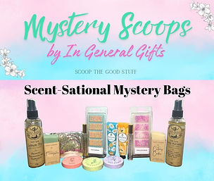 25% off ALL Scoop Boxes For members of Shop Blue USA & Liberal Owned Businesses (6).jpg