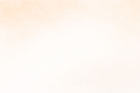 セクション背景