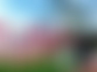 あかさたな対面(たいめん)クラスはオンラインでおこないます
