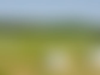 LIFTING THE BAR THROUGH QUALITY SILAGE