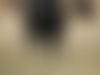 UTILISING DRY SUMMER FEED