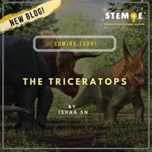STEM·E Blog: The Triceratops
