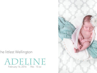 Introducing little Adeline