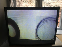 IMG_8863.jpeg
