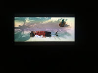 IMG_6270.jpeg