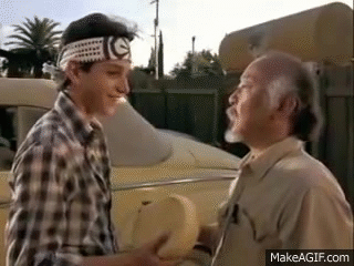 karate kid.gif
