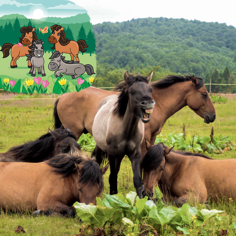 Прев'ю: Сhildren's book for young horse lovers "The Herd and Me" (Ebook)