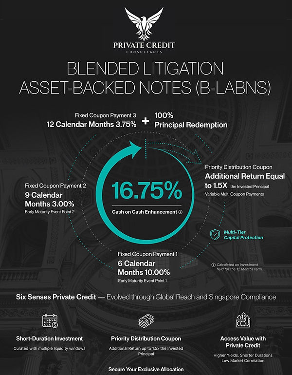 Six Senses B-LABNs High Level Invesment Primer Disclaimer[1]-1 (1).jpg