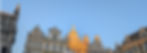 2024-12-8 Banner Grote Markt.jpg
